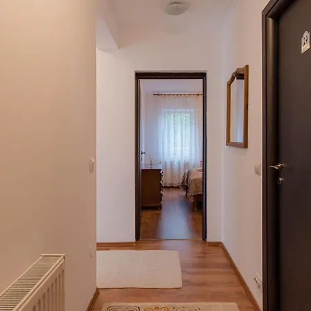 Zip Zarnesti