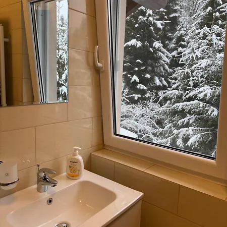 Zip Holiday home Zarnesti
